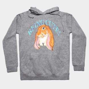 ENGLISH LOP BEING CUTE BLUE Hoodie